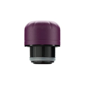 Purple Chilly's Matte 750ml Accessories | LF3102845